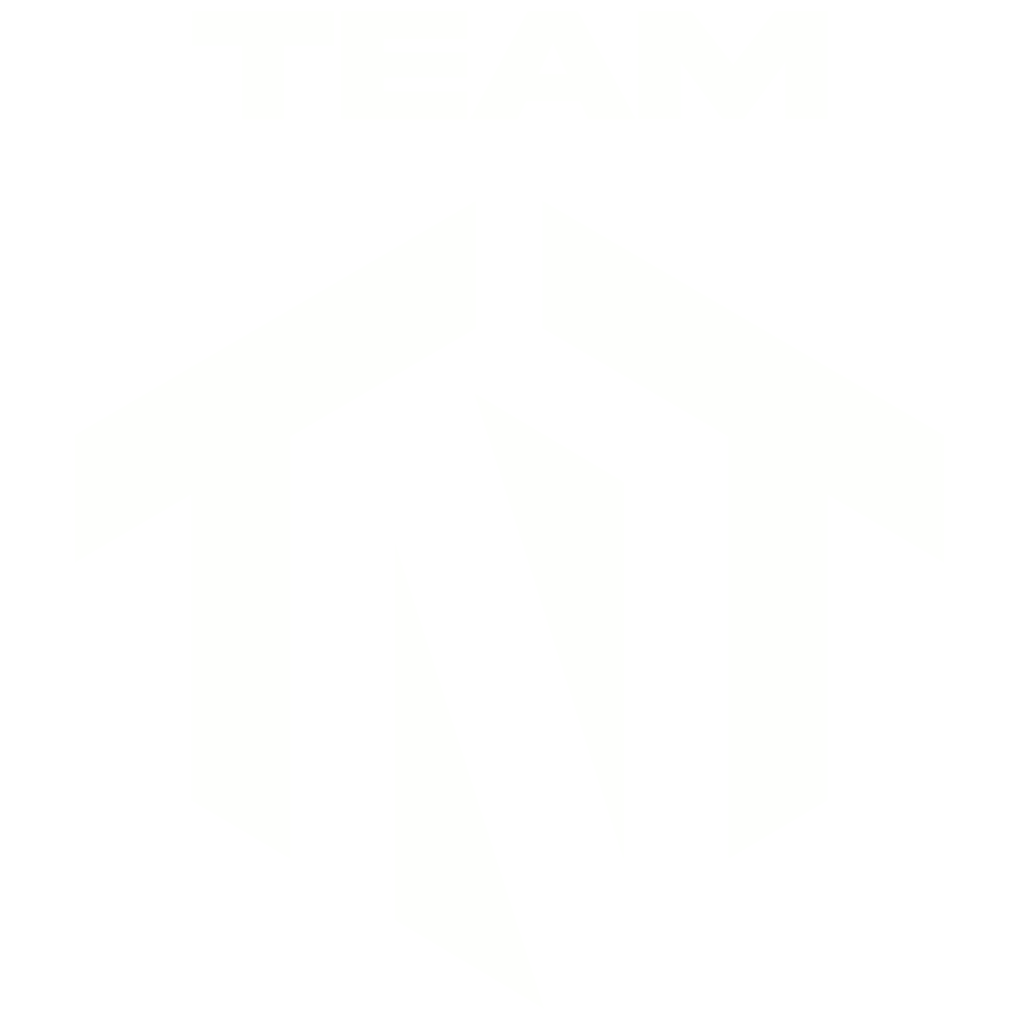 Team TNT Real Estate